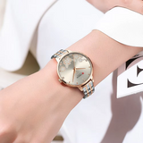 Curren C9068 Silver Γυναικείο Ρολόι με Ασημί Καντράν